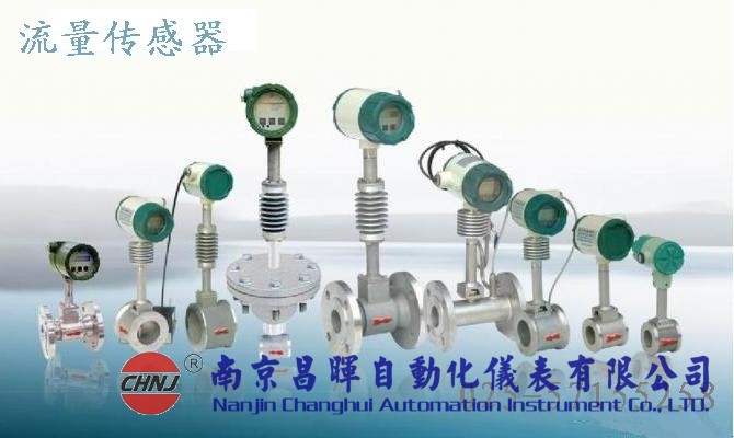 CH50/R1/DN40/M2ES/Ed流量計(jì)-南京昌暉