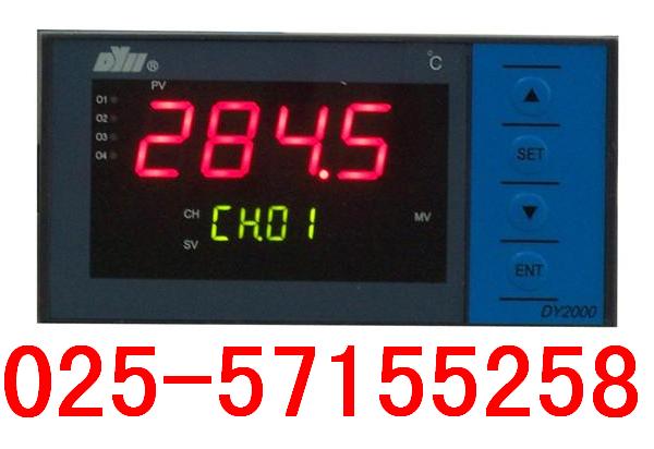 DY2000(DB)帶通道編碼輸出巡檢儀表